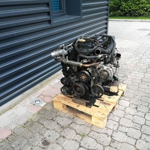 engine NISSAN YD 25 for truck NISSAN CABSTAR