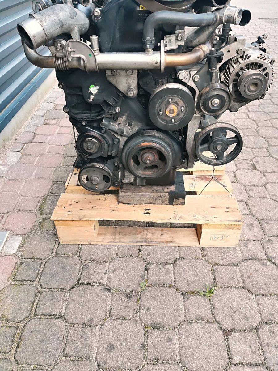 engine NISSAN YD 25 for truck NISSAN CABSTAR